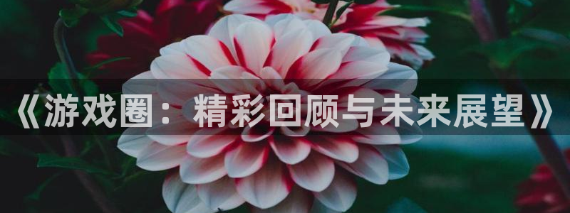 欧博娱乐下载链接：《游戏圈：精彩回顾与未来展望》