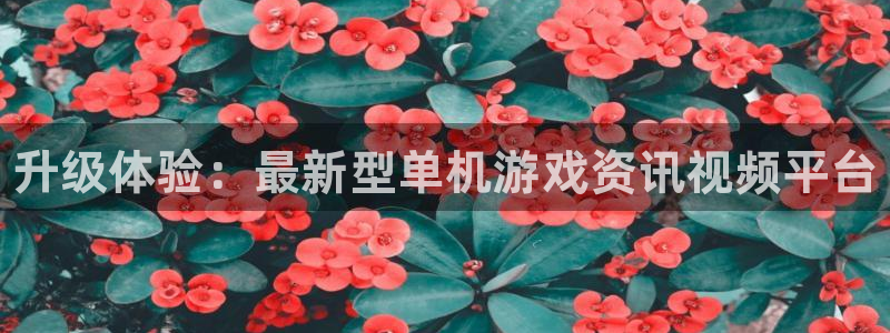 欧博娱乐平台登录入口：升级体验：最新型单机游戏资讯视频平台