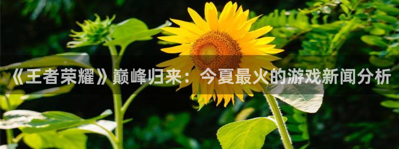 欧博娱乐登陆地址：《王者荣耀》巅峰归来：今夏最火的游戏新闻分