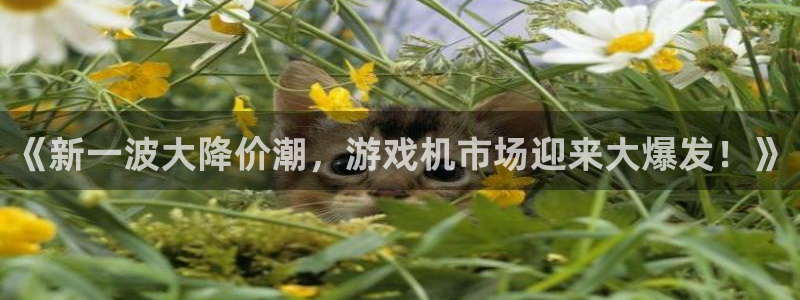 欧博娱乐注册地址：《新一波大降价潮，游戏机市场迎来大爆发！》
