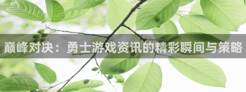 欧博娱乐app：巅峰对决：勇士游戏资讯的精彩瞬间与策略