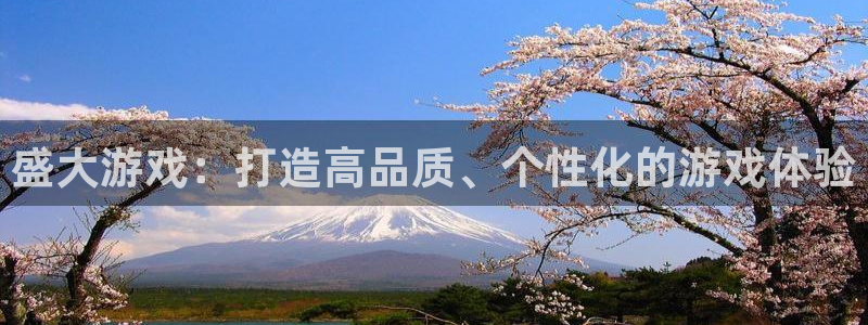 欧博娱乐是什么：盛大游戏：打造高品质、个性化的游戏体验