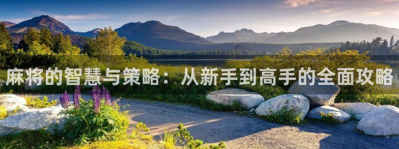 欧博娱乐app：麻将的智慧与策略：从新手到高手的全面攻略