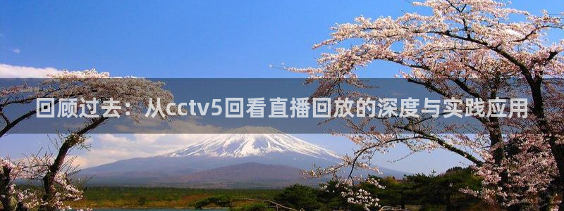 搜球8直播：回顾过去：从cctv5回看直播回放的深度与实践应用